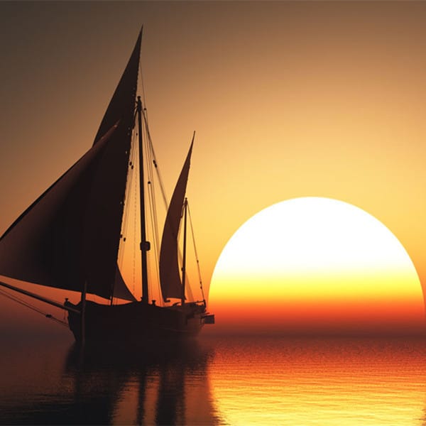 آمنہ شیخ avatar